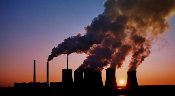 White Skin, Black Fuel: a Letter from the Editor