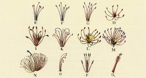 Image for blog post entitled The Imperial Archive and Form: Lewis Carroll, Bram Stoker, and J.G. Ballard in the British Empire (Parts I and II)