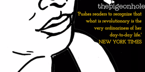 Image for blog post entitled The Pigeonhole are serializing <i>Trans</i> to celebrate its paperback release!