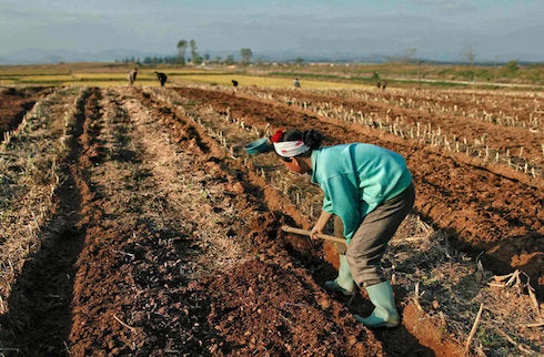 Image for blog post entitled "Hunger and poverty are inseparable" - an extract from David Rieff's <i>The Reproach of Hunger</i>