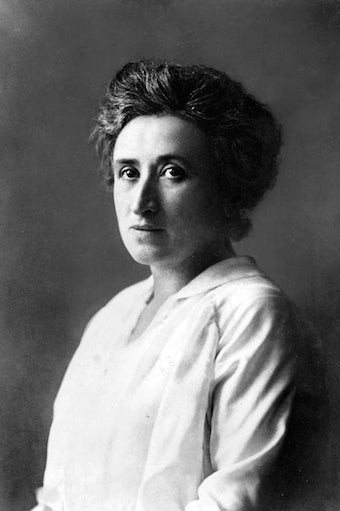 Image for blog post entitled Left Forum Panel: Publishing <em>The Complete Works of Rosa Luxemburg</em>—in English and Chinese