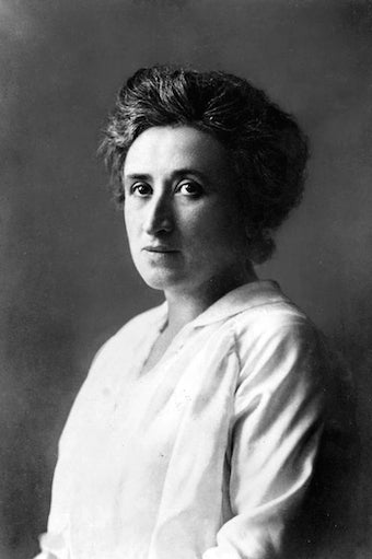 Image for blog post entitled Left Forum Panel: Publishing <em>The Complete Works of Rosa Luxemburg</em>—in English and Chinese