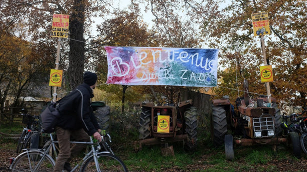 Return to the Commons