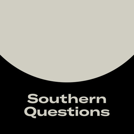 Verso's Southern Questions