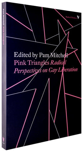 Cover of “Pink Triangles: Radical Perspectives on Gay Liberation”