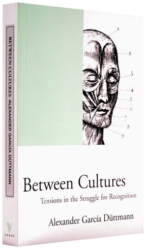 Cover of “Between Cultures: Tensions in the Struggle for Recognition”