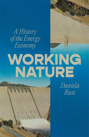 Cover of “Working Nature: A History of the Energy Economy”