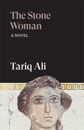 Cover of “The Stone Woman: A Novel”