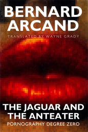 Cover of “The Jaguar and the Anteater: Pornography Degree Zero”