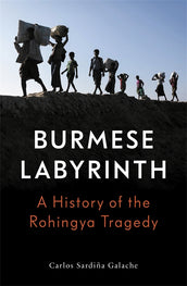Cover of “The Burmese Labyrinth”