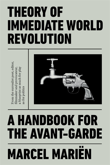 Theory of Immediate World Revolution
