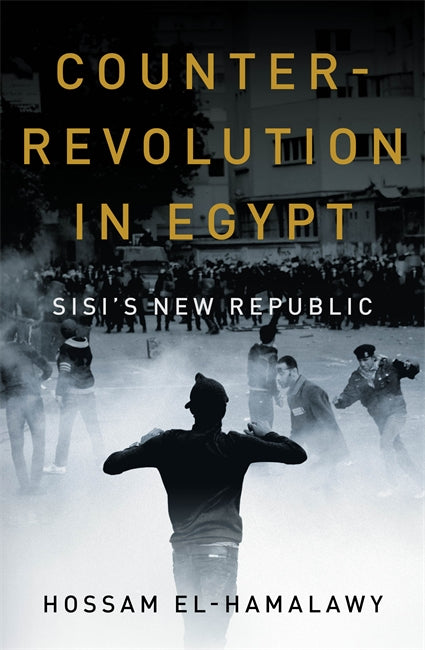 Counterrevolution in Egypt