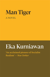 Cover of “Man Tiger: A Novel”