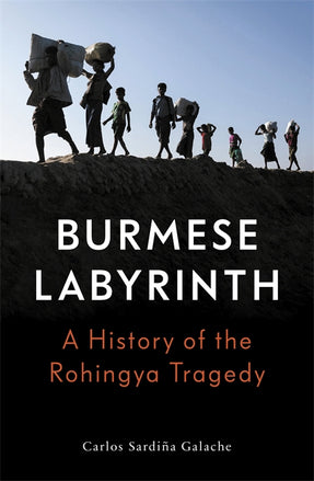 Cover of “The Burmese Labyrinth”