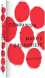 Cover of “A Companion to Marx's Grundrisse”