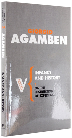 Cover of “Infancy and History: On the Destruction of Experience”