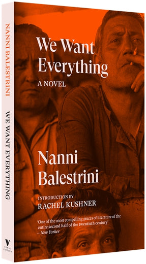 Cover of “We Want Everything: A Novel”