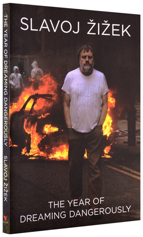 Cover of “The Year of Dreaming Dangerously”