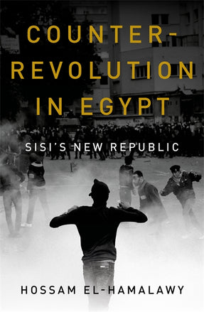 Cover of “Counterrevolution in Egypt: Sisi's New Republic”