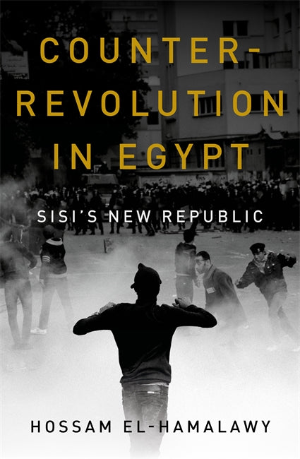 Counterrevolution in Egypt