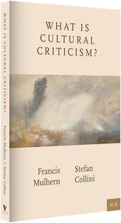 Cover of “What Is Cultural Criticism?”