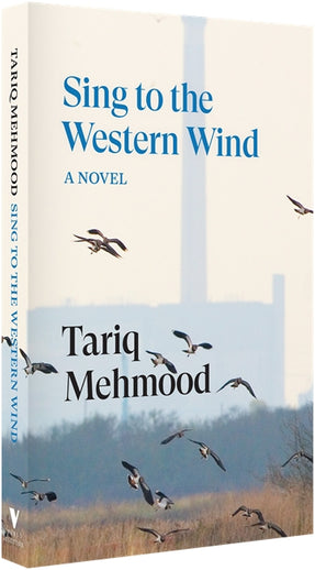Cover of “Sing to the Western Wind: A Novel”