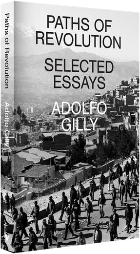 Cover of “Paths of Revolution: Selected Essays”