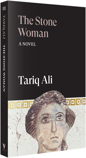 Cover of “The Stone Woman: A Novel”