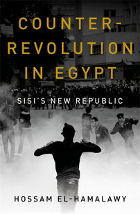 Counterrevolution in Egypt