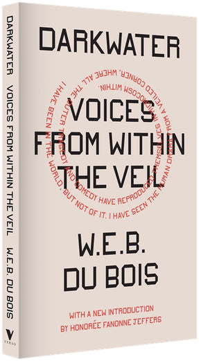 Cover of “Darkwater: Voices from Within the Veil”